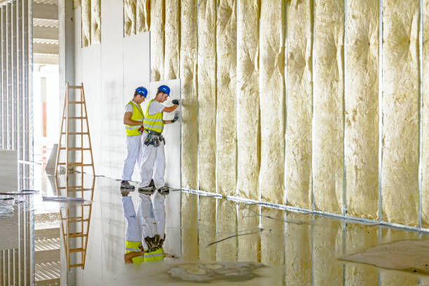 Insulation Inspection Services in Mcarthur, OH
